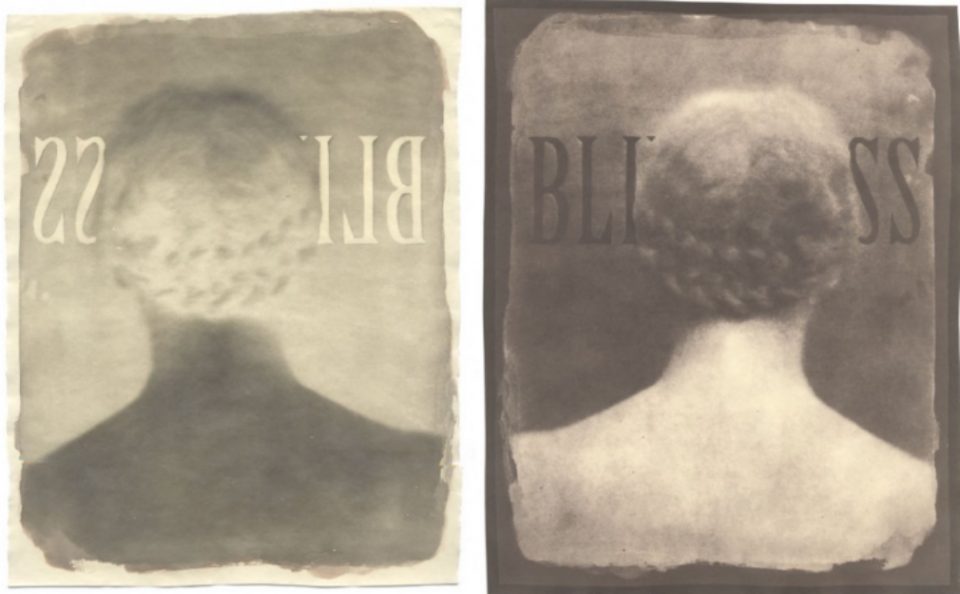 Head of the lady, blindness, calotype and salt print