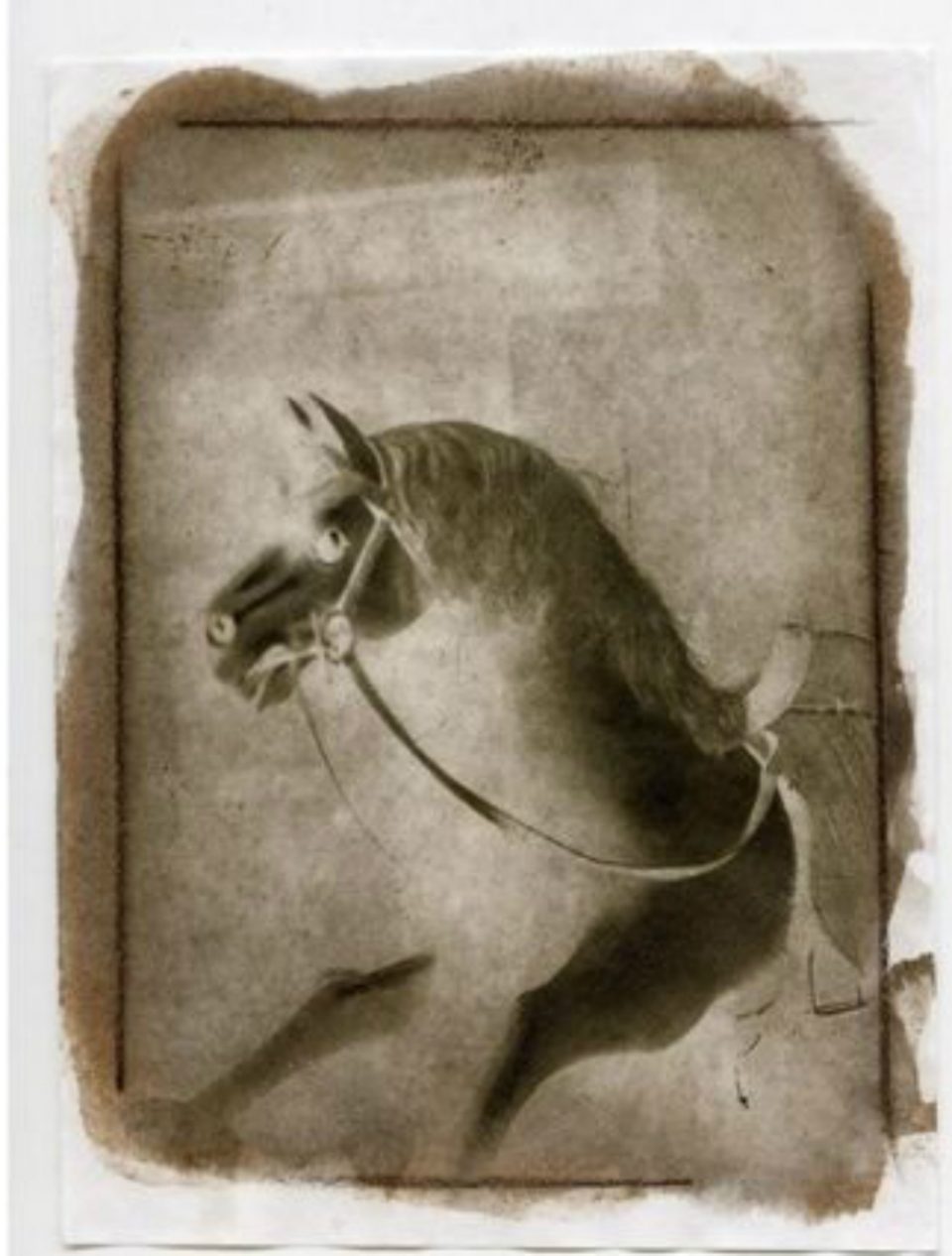 Rocking horse Firefoot, calotypes, ©Claudio Santambrogio
