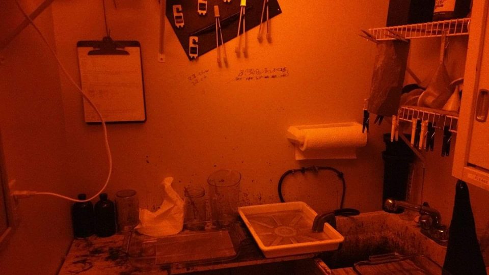 The darkroom of Richard Lanning